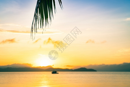 晴天在海边美丽的日出棕榈树在节假日休息时间旅行有选择的焦点为了自然图片
