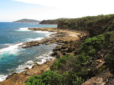 澳大利亚的野海岸澳大利亚的洲海岸有着悬崖树木和海洋沉积流浪儿滩图片