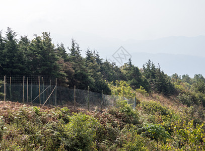 亚洲竹杆上的金属网栅栏以保护公园自然通道附近的旅行者在公园自然通道附近环境谷图片