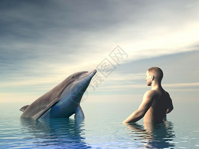 海豚前方的被多尔芬和人云蒙蔽在海面上荒野生活美丽的图片