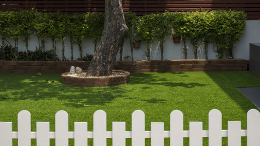 现代的有选择地关注大树干和在家前院人工草皮上长成一排绿灌木植物前景家庭园艺和外部建筑概念含模糊的白木栅栏及房屋园林和外墙结构衬套图片