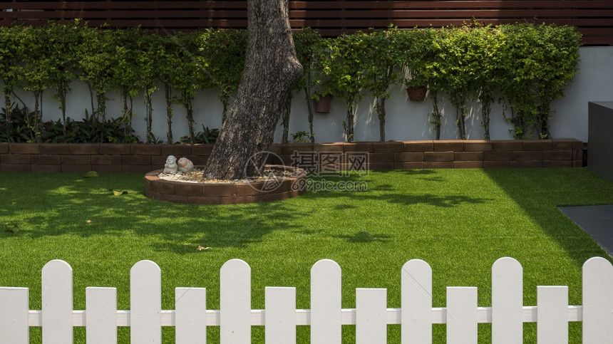 现代的有选择地关注大树干和在家前院人工草皮上长成一排绿灌木植物前景家庭园艺和外部建筑概念含模糊的白木栅栏及房屋园林和外墙结构衬套图片