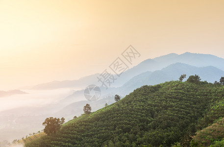 美丽的全景在泰国永海省山顶对日出与湄公河上雾海相望的天空景象震撼爬坡道图片