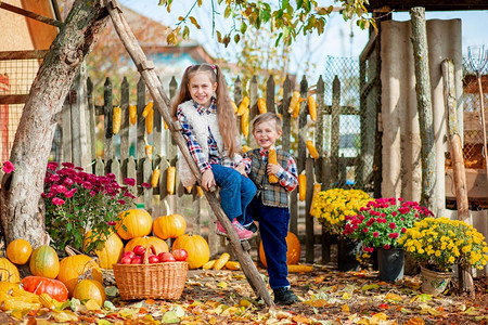 秋天在农场采摘蔬菜和水果的孩子图片