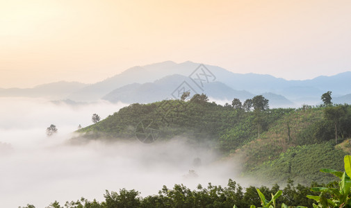 令人惊叹的在泰国永海省山顶对日出与湄公河上雾海相望的天空景象震撼旅行云景图片