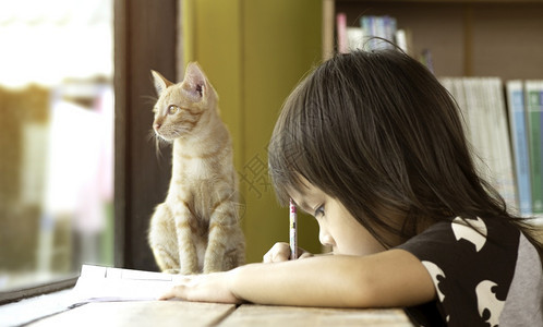 在家教育亚裔小女孩周末在窗户旁边做功课小猫坐在她可爱的宠物概念旁边回学校去上Y我坐着肖像家庭图片