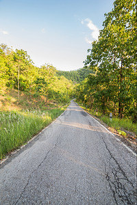 通道森林中的公路冒险园图片