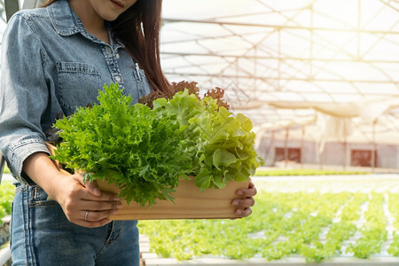 植物培育亚洲农民妇女持有木箱在温室机食品概念中装满水栽养农场系统中的沙拉蔬菜以控制环境照明温度水和等有机食品健康图片