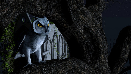 木头美丽野生动物一只猫头鹰在陵墓附近的蓝色月光下一动不地坐在棵树上3d渲染一只猫头鹰在陵墓附近的蓝色月光下一动不地坐在棵树上图片