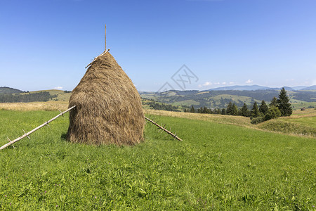 绿色景观山地草原上堆成一片干草在山坡上美丽的丘地带乡村的美丽风景明亮阳光媚的白天喀尔巴阡山脉地面背景图片