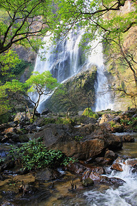 苔藓充满树木的丰富多彩风景和树木在克隆兰瀑布的雨林克隆兰瀑布中落下结石闪电图片