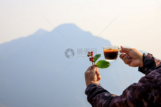 手握着樱桃生咖啡豆和热杯白色背景的自然山复制空间和有选择的聚焦点健康户外新鲜的图片