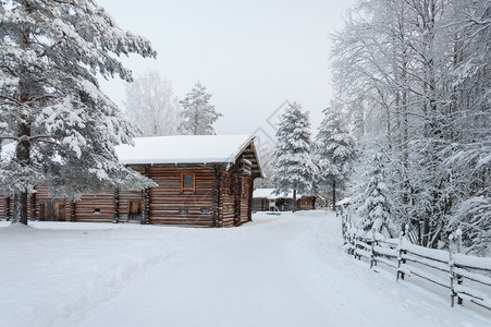 历史树俄罗斯北部村庄的旧木屋旅游综合体MalyeKorely冬季图片