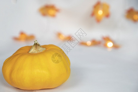橙色南瓜和彩叶的秋季边框布置与散景灯为灰白色背明亮的现代装饰复制空间用于文本落下秋天优质的图片