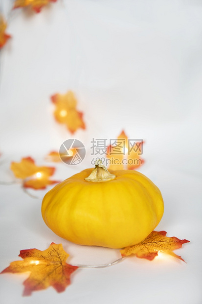 橙色南瓜和彩叶的秋季边框布置与散景灯为灰白色背明亮的现代装饰复制空间用于文本叶子秋天十月图片