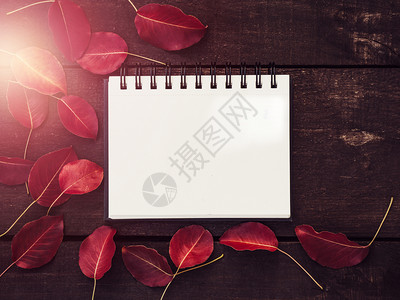 为了纸美丽红叶笔记本棕色木板以及您写字的场所最美观向亲人家朋友及同事表示近距离祝贺漂亮笔记本和木板婚礼图片