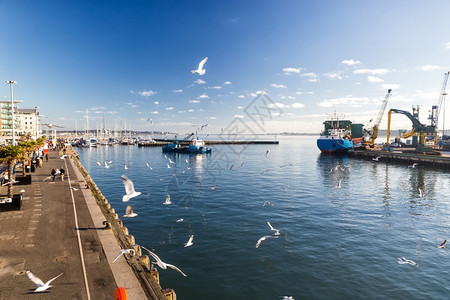 十月店铺联合的2014年月23日许多游客在具有历史意义的联合王国Poole港普尔湾PooleHapplePoole的海港观光这是图片