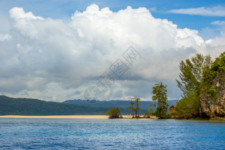 在后面天空位于热带岛屿海岸边的RajaAmpat空海滩上的一个孤单小屋躲在树木后面的野滩和热带海岸的Hut印度尼西亚图片