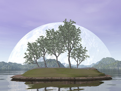 分支水面上的红日落光滑榆树盆景3D渲染光滑的榆树盆景渲染日本人安静图片