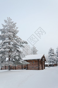 木制的俄罗斯北部冰雪松树之间的老木制农舍开放空军博物馆MalyeKorelyArkhangelsk地区俄罗斯寒冬日北方农村图片