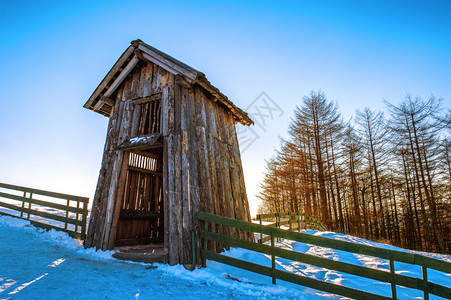 冬季木林小屋南韩江原道大和伟敬牧草地场景霜图片