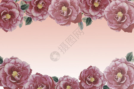 颜色婚姻邀请卡情人节新年卡鲜红玫瑰花粉背景的框架水彩绘画插图古代概念经典风格注优质的盛开图片