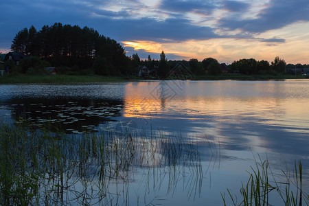 美丽宁静暮俄罗斯Seliger湖Seliger湖的树木和远光影俄罗斯SecaidfociveFocus图片