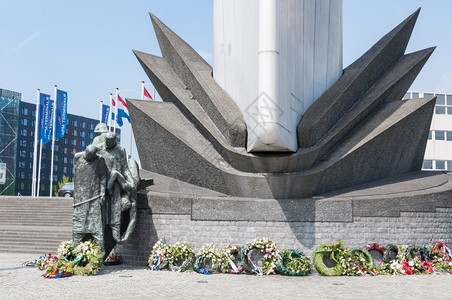 鹿特丹海滨纪念碑和世界大战的鲜花荷兰办事处城市景观血管路图片