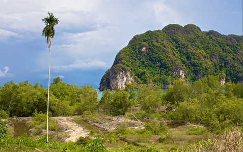娱乐KohLantaNoi绿地泰国克拉比水平的岛图片