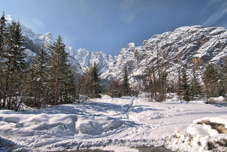 冬季雪景风光峰图片