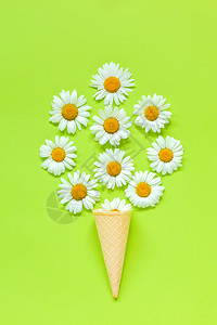 白色的花朵躺着束洋甘菊雏在淡绿色纸背景上的华夫饼冰淇淋蛋筒明信片或您的设计模板平躺顶视图概念你好夏天自上而下的组合花束洋甘菊雏在图片