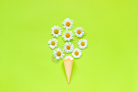 并欺凌蛋筒花朵卡片白色的束洋甘菊雏在淡绿色纸背景上的华夫饼冰淇淋