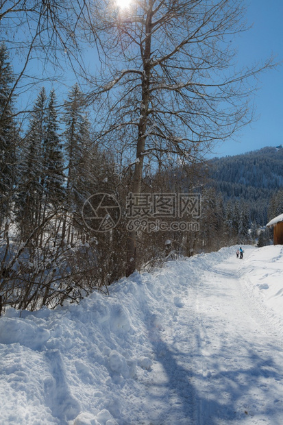 冬季雪景风光图片