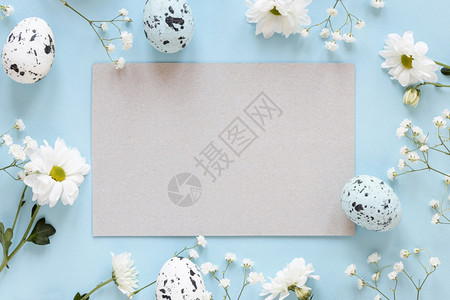 传单问候相框鲜花与纸片鸡蛋高分辨率相框鲜花与纸片鸡蛋高质量照片蓝色的图片