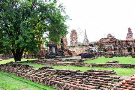 菩提网站素材旅行著名的泰国阿尤塔亚Ayutthaya旅游景点著名和受欢迎的马哈河谷树背景