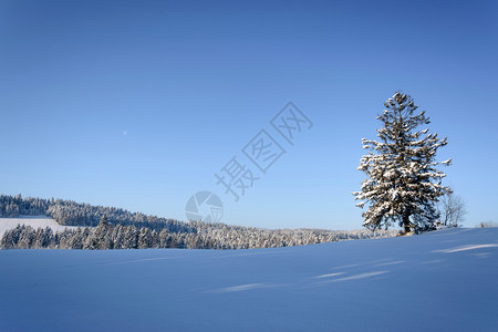 冬季雪景风光图片