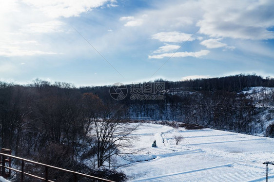 冬季雪地风光图片