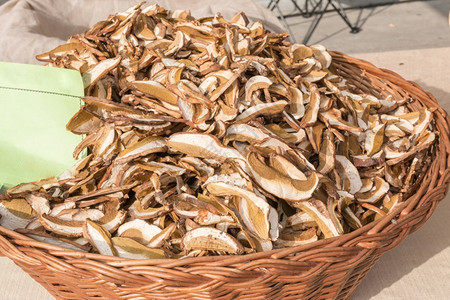 可食用的植物学意大利维杰碗中的干混合猪肉桂蘑菇图片