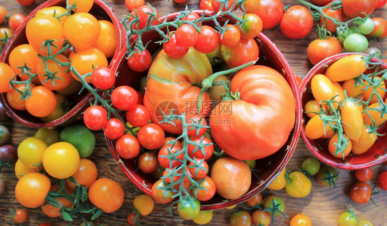 新鲜的成熟番茄图片