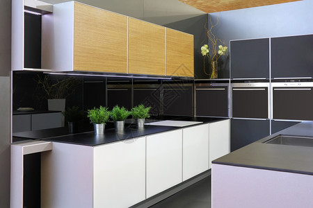 防锈的烤箱现代豪华新厨房有昂贵的电器台面图片