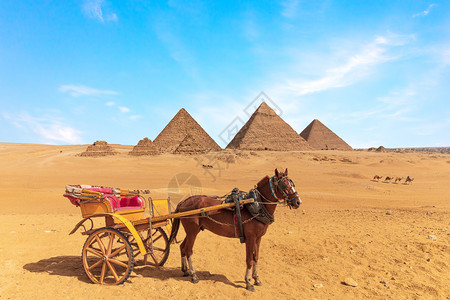 一种埃及吉萨大金字塔前推车的马埃及吉萨大金字塔前推车的马老结石图片