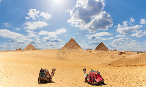 伟大的呸埃及金字塔全景云下有两只骆驼埃及金字塔全景云下有两只骆驼天空图片