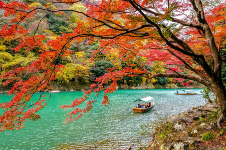 景观清晨雾和日出笼罩着高山的Seoraksan山脉在韩国首尔岩石顶峰图片