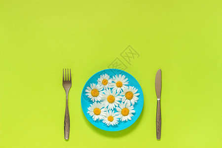 为了碗恰当的蓝盘上洋甘菊雏和绿纸背景上的餐具叉刀概念素食主义健康饮或创意顶视图复制空间模板用于刻字文本或您的设计蓝盘上洋甘菊雏绿图片