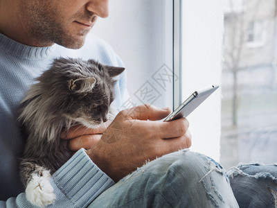 房间年轻人坐在窗台上大腿抱着一只美丽而毛绒的小猫在他手机上看新闻年轻人坐在窗台上把小猫放在大腿上看新闻蓬松的坐着图片
