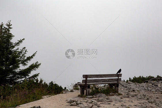 掠夺多雾路段乌鸦在木凳上的雾和云山景观黑暗和神秘的恐怖景观自然雾和云山景观木凳上的乌鸦黑暗和神秘的恐怖景观黑色图片