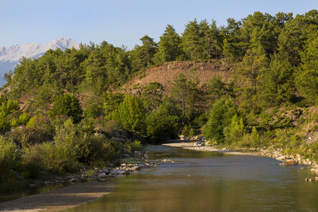 荒野爬坡道景观安塔利亚的河流地球和树木图片