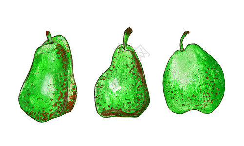 威廉姆斯棕色斑点的绿果实手工绘制油面贴纸插图用于食品标签设计生态产品白色背景隔离的梨子组EcometasSetofPaterss图片