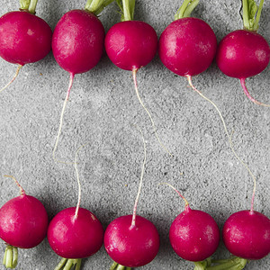 营养欧洲的灰混凝土背景紫色萝卜种植生长的萝卜蔬菜季节烹饪食物配制着欧洲红萝卜拉法努斯Raphanussativus生食品的概念丰图片