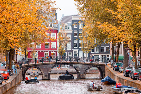 旅行荷兰北省阿姆斯特丹老城的格伦堡瓦尔运河荷兰北省阿姆斯特丹老城的美丽运河市树图片